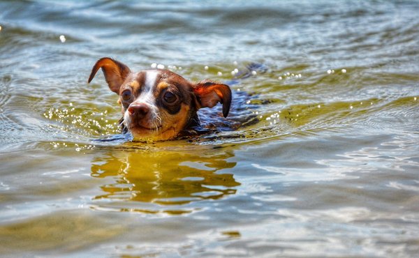 Quels sont les conseils pour débuter la fabrication de savons naturels à la maison ?