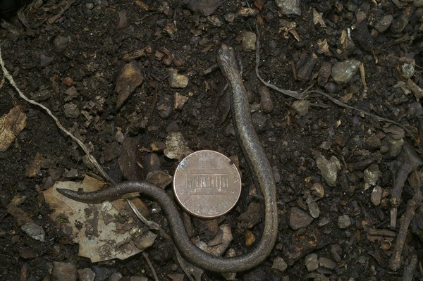 Choisir sa banque pour sci: 6 critères essentiels